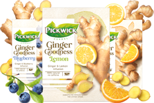 Pickwick Ginger Goodness